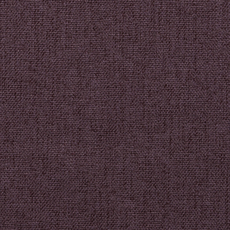 Kenya Purple