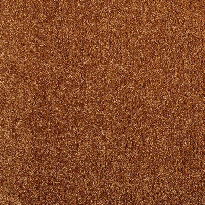 Elegance Carpet Rug 751